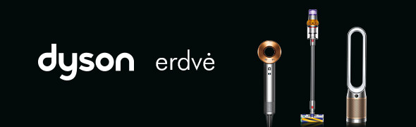Dyson erdvė
