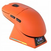 AJ159 Apex oranžinė