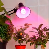 LED Фито лампа E27 для растений и рассады 9W, 270°, IP20