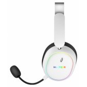 Phoenix 2 (ESH41) White