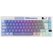 M65 Ocean Blue Beige Switch (EN)