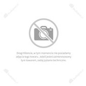 Tryton Lamelki 0, 10, 20 do frezarki do rowków TFR900K 60szt. - EATFR0