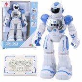 Remote Controlled Educational Robot RC Talking Dancing Lights Sounds B