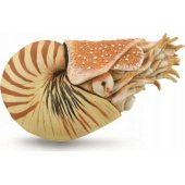 Figūrėlė Collecta GRAŽUSIS NAUTILAS - CollectA - 88907 - XL