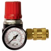 Pressure Regulator 1/ 4®F (152166XSTN)