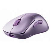 Thorn V2 Purple