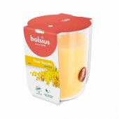 True Scents kvapioji žvakė stiklinėje Ø80x73mm mimosa