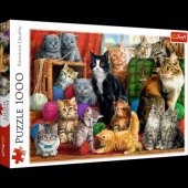 Trefl dėlionė 1000 Cat meeting