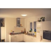 Smart Ceiling Light 17W 2700K