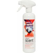 Clinex Odświeżacz powietrza tasmański czar 500ml (77901)