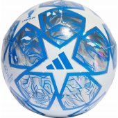 _7704472 adidas UCL treniruočių futbolo kamuolys, baltas ir sidabrinis IN9326 5
