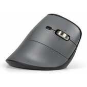 FastForward Pro Right Grey