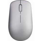 Wireless Mouse (01FJ189)