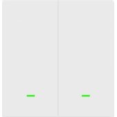 ACS-TS-DS WiFi Dual Switch White
