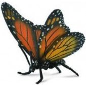 Collecta Royal Butterfly figurine