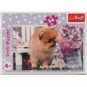 Trefl PUZZLE 54EL TREFL 19735 MINI UROCZE ZWIERZATKA P