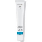 Ledo augalas 50ml
