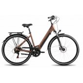 Electric bike ProEco Wave AN 1.0 R 504Wh 17" brown-black