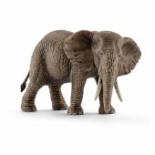 African elephant