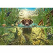 Schmidt Spiele Mark Fredrickson: Dog love - brown Labrador in the cool