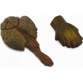 Collecta figurine ANKYLOZAUR TEETH AND TONG - CollectA - 89287