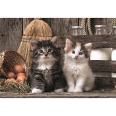 Puzzle 1000 HQC Beloved Kittens Poster Clementoni 39943