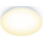 Smart Ceiling Light 17W 2700K