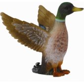 Figurka Collecta Samiec Kaczki Krzyżówki (004-88378)