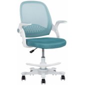 EMMY with footrest blue
