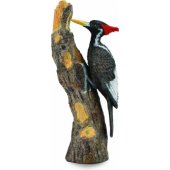 Figurka Collecta Dzięcioł Wielkodzioby w rozmiarze L (004-88802)