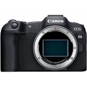 EOS R8 + RF 24-240mm f/ 4-6.3 IS USM + Mount Adapteris E