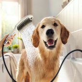 DogShower Dogs Hand Shower 150 3jet Select Matt White