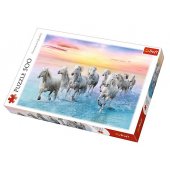 Galloping White Horses 500pcs