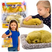 Sleeping Labrador Puppy on a Pillow Figurine with Fur and Transparent