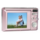 DC5500 Pink