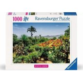 _7387523 Dėlionė 1000PCS