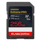 SDXC 256GB Class 10 SDSDXXJ-256G-GSCIN