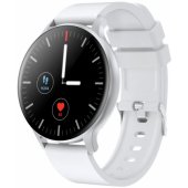Badian SW-68 Silver