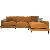 DAISY RC Brown