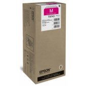 T9743 XXL purpurinis