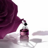 Nutrition Anti-Age Black Rose Precious veido aliejus 25ml