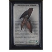 Collecta COLLECTA figurine TRICERATOPS TEETH IN PACKAGE