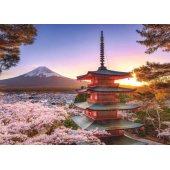 1000 Cherry Blossom, Japan 17090