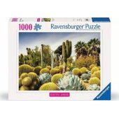 _7387526 1000 vnt. Garden of Huning ton desert USA