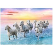 Galloping White Horses 500pcs