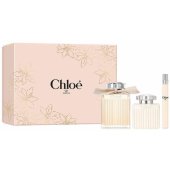 _8432734 Chloé Chloe Signature Eau De Parfum 100ml Kūno pienelis 100m