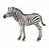 Collecta ZEBRA FOAL figurine