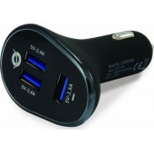 CARDEN06B Black