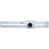 Insize matavimo liniuotė MLPN L-250 (7120-250A)