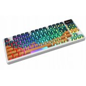 Forge GK600 TKL Mars (EN) White
